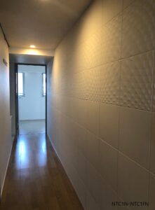 ニュートランス (11)