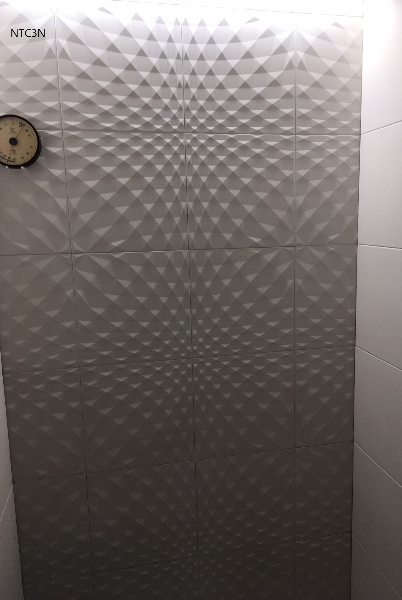 ニュートランス (21)